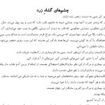 دانلود رمان به امید دل بستم از لنکالی آمل کتاب